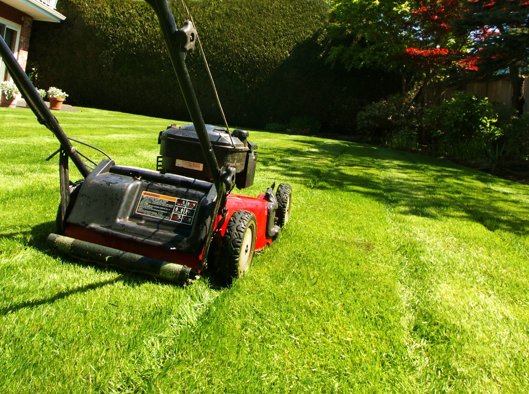 Lawncare 101: How To Choose A Lawn Mower For Your Type Of Yard