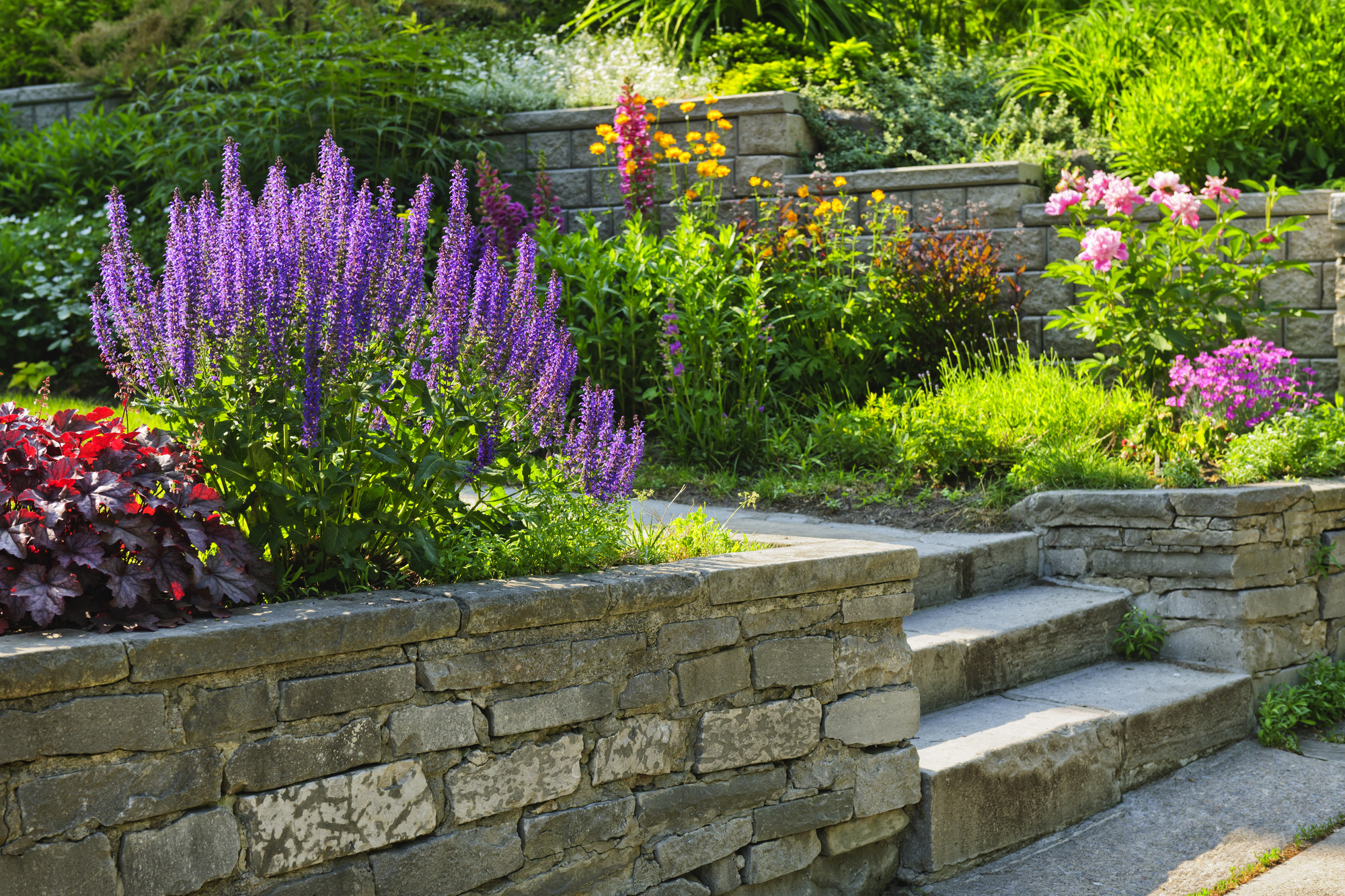 Smart Landscaping: Tips to Create a Functional and Beautiful Home Landscape Design