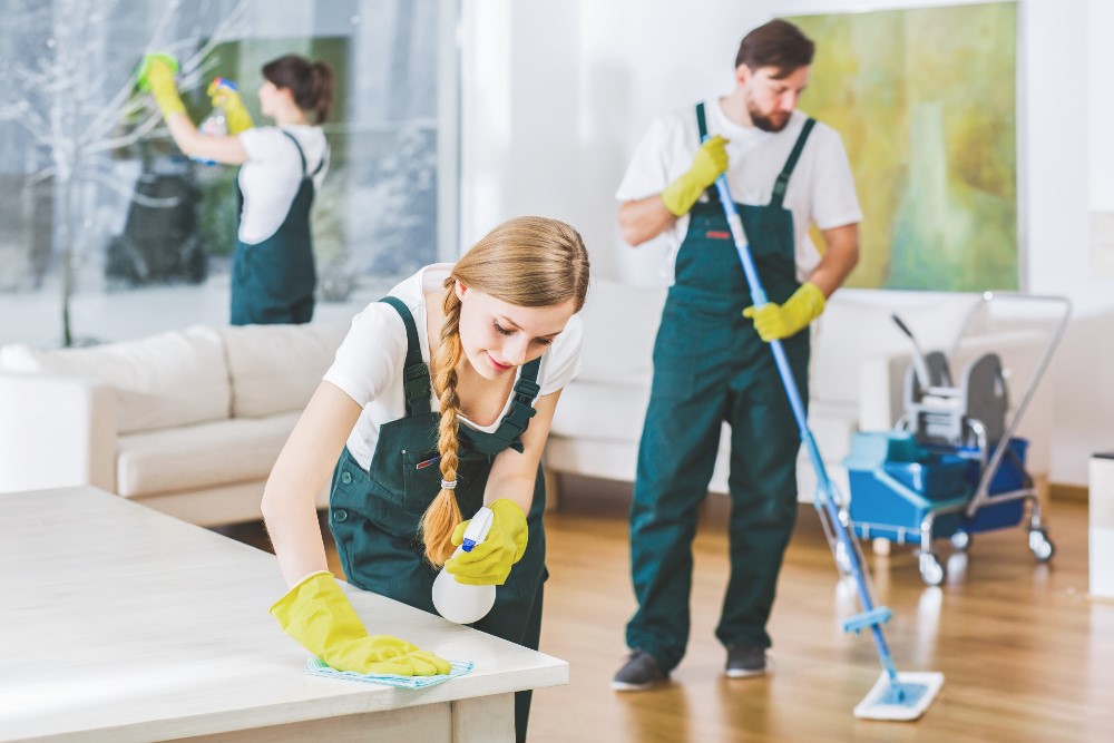 Pros and Cons of Hiring a Cleaning Service Over a Maid