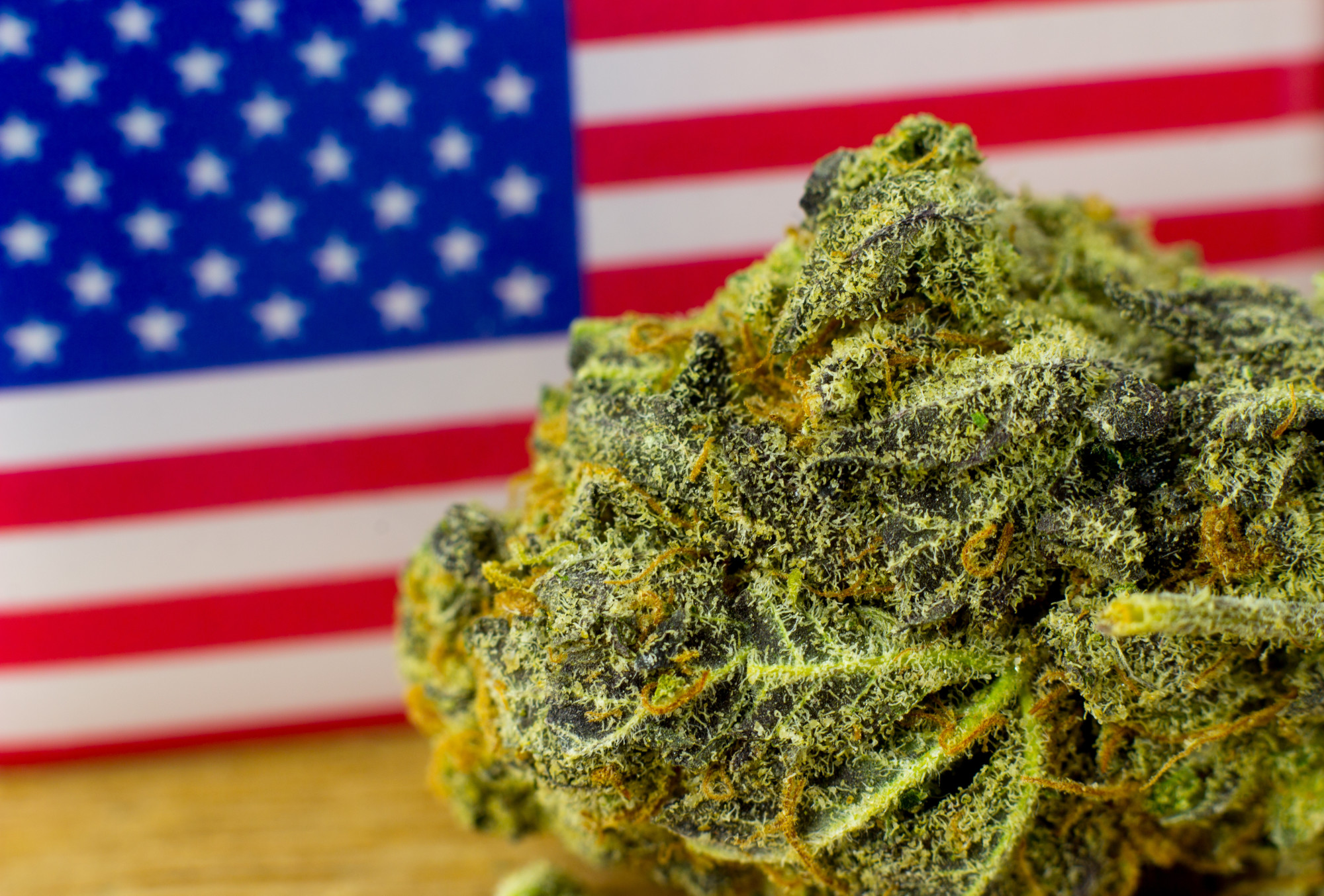 The Origin of the Bud: A History of Marijuana in the US