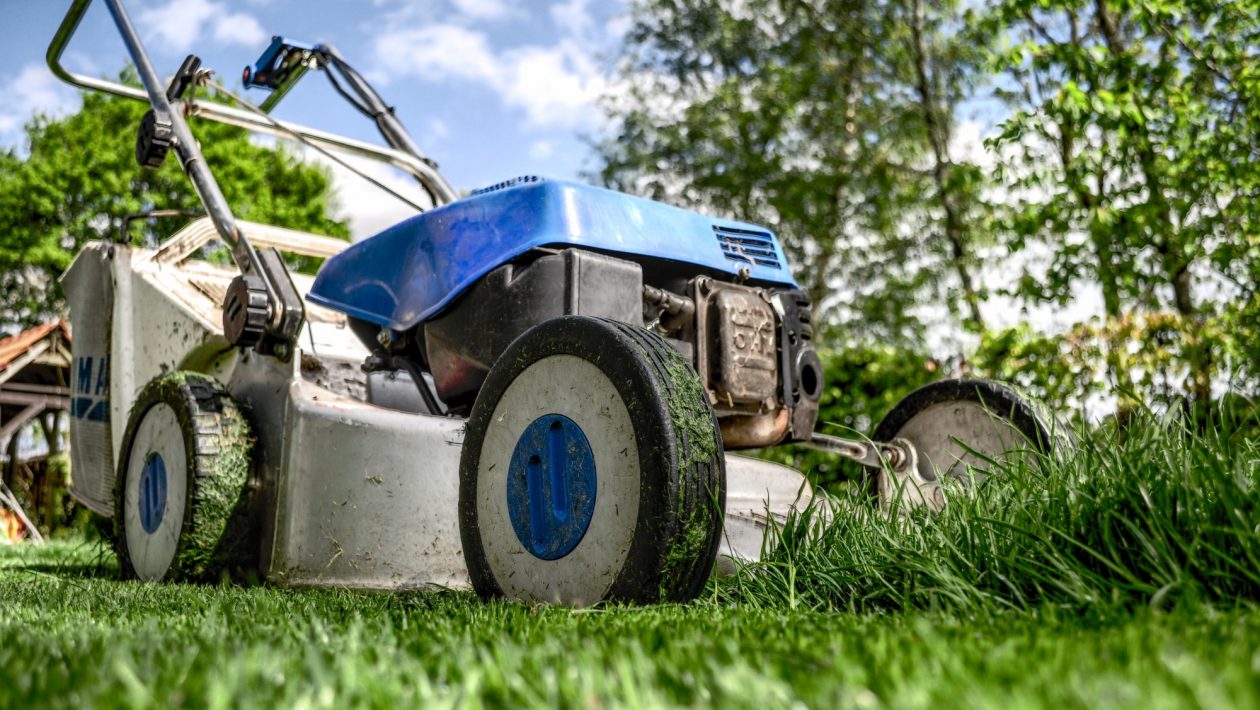 Looking for Someone to Do Yard Work: How to Decide Whether to Hire or DIY