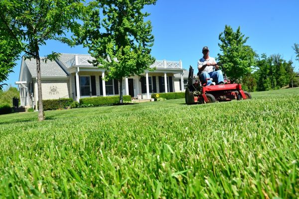 5 Ways Landscaping and Lawn Care Services Will Help You Sell Your Home
