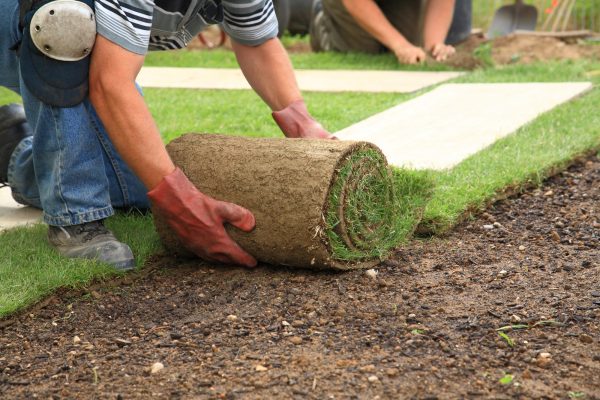 Sodding 101: Advantages of Installing a Sod Lawn