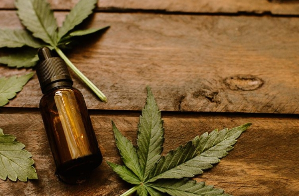 cbd oil is bad for you