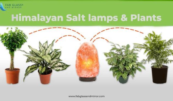 What is the Healthier Option for Home Interior: Salt Lamps or Plants?