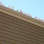 4 Major Reasons Your Gutters are Clogged